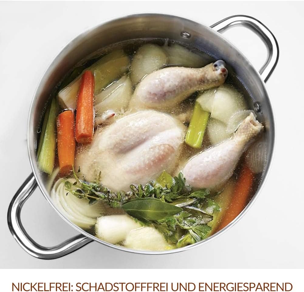 HOMICHEF Nickelfreier Edelstahltopf mit Glasdeckel (24,5 cm 9,5 Liter) - Gesunder, hochglanzpolierte