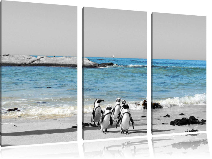 lustige Pinguine am Strand schwarz/weiss 3-Teiler Leinwandbild 120x80 Bild auf Leinwand, XXL riesige