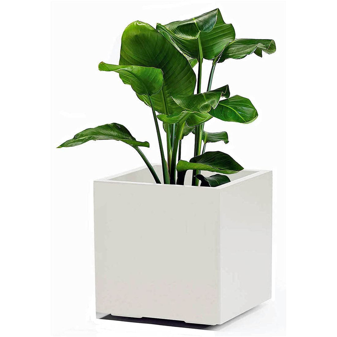 Euro3Plast 3157.03 Kebe Pflanzkasten 40 cm mit Wasserspeicher und Rollen in Weiss Ökologisch nachhal