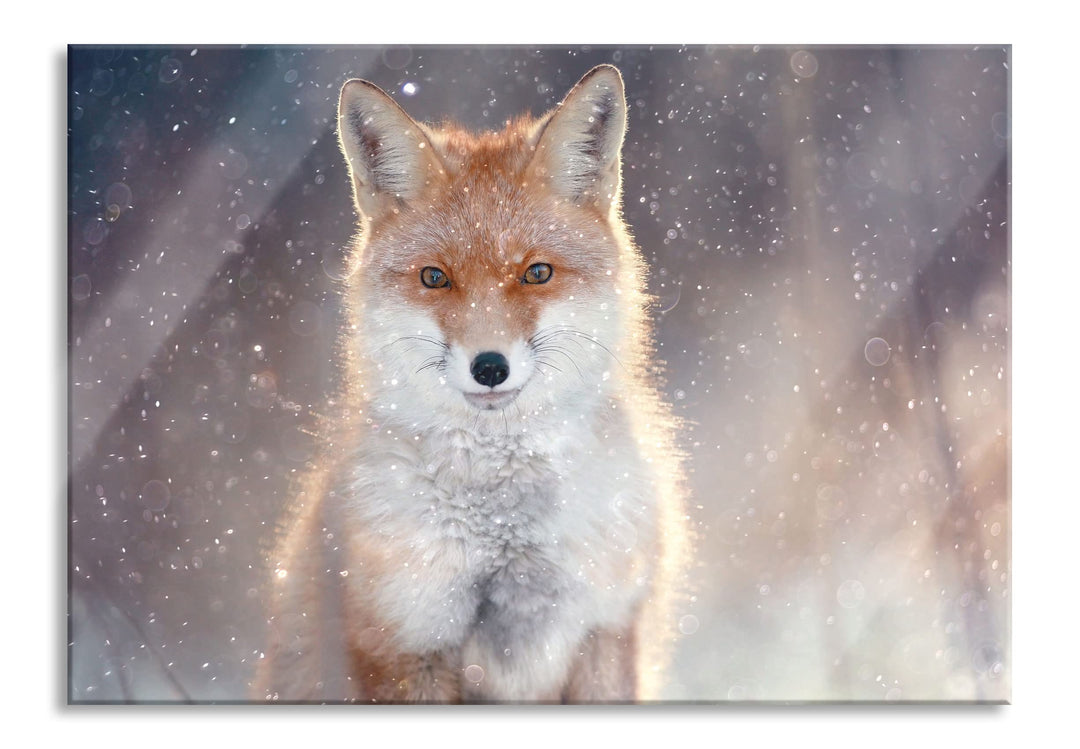 Pixxprint Glasbild | Wandbild aus Echtglas | Roter Fuchs im Winter | 80x60 cm | inkl. Aufhängung und