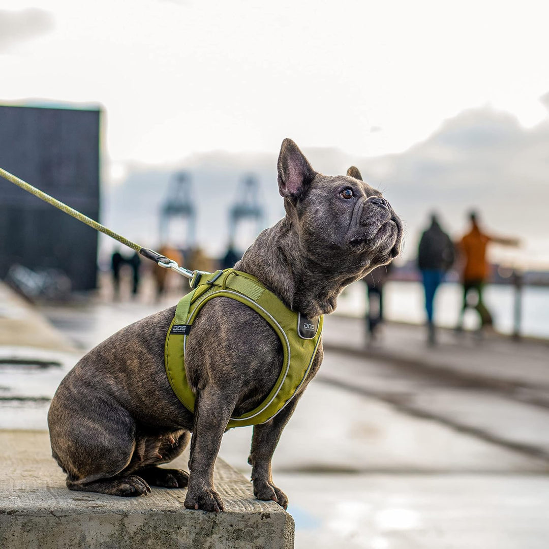 DOG Copenhagen Comfort Walk Go Hundegeschirr, Mocca (Braun), Grösse M Mocca | Braun M, Mocca | Braun