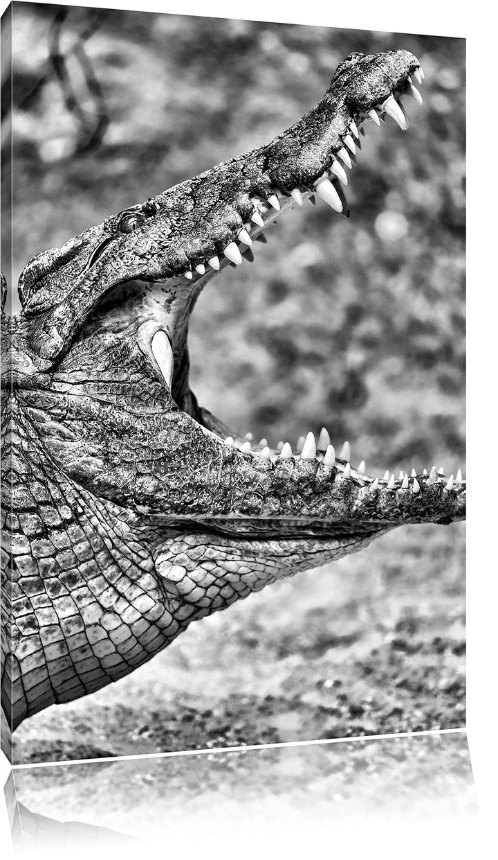 Pixxprint gewaltiges Krokodil als Leinwandbild/Grösse: 100x70 cm/Wandbild/Kunstdruck/fertig bespannt