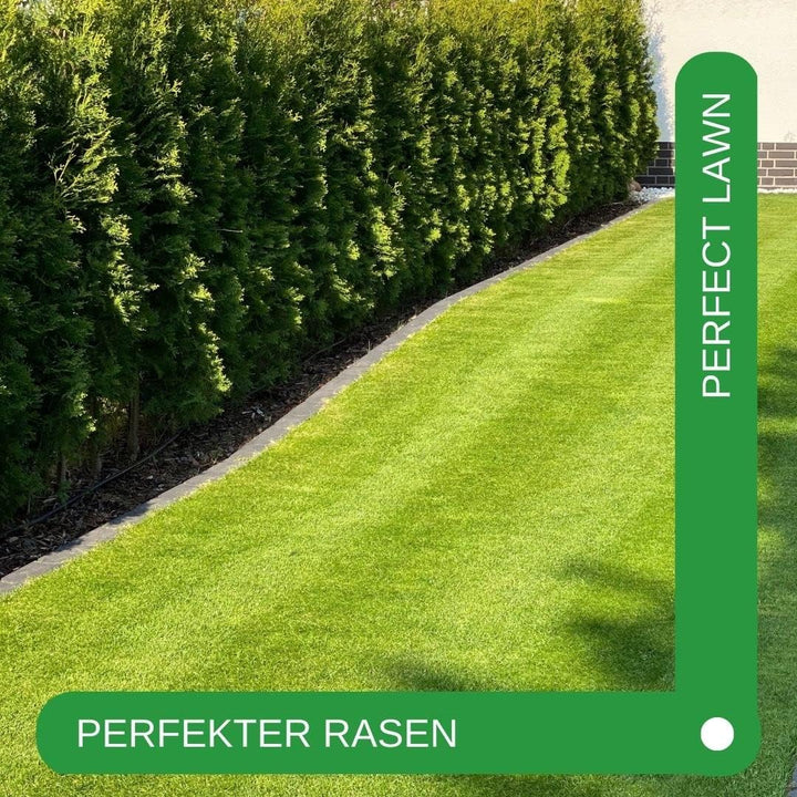 RISISANI® Rasenrakel | 80x30cm | V2A-Edelstahl rostfrei | 100% Made in Germany | Ohne Stiel | option