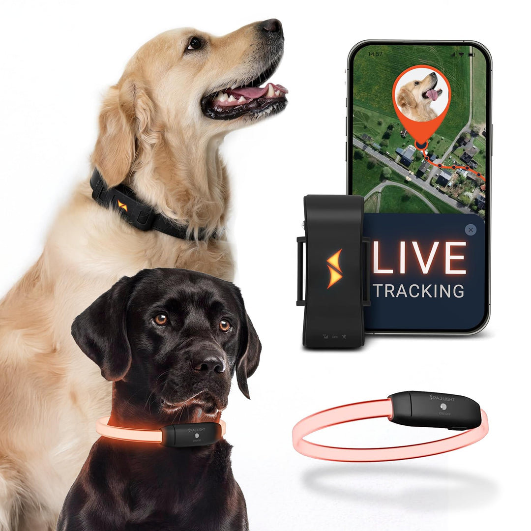PAJ GPS - LED Leuchthalsband + GPS Tracker für Hunde, doppelte Sicherheit, weltweite Live-Ortung + S
