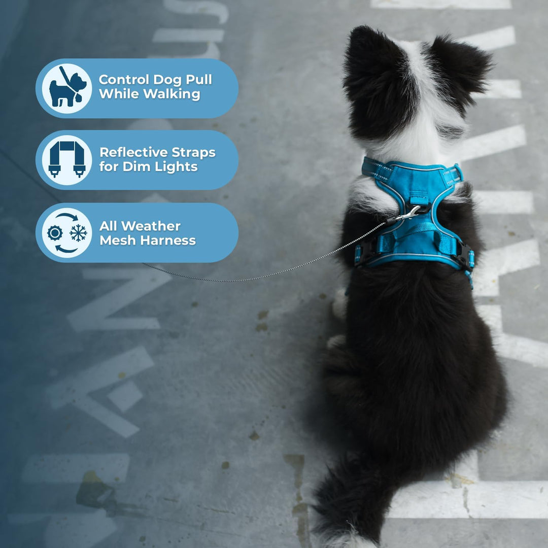 Voyager Von Best Pet Supplies – verstellbares Hundegeschirr mit 3M reflektierender Technologie, kein