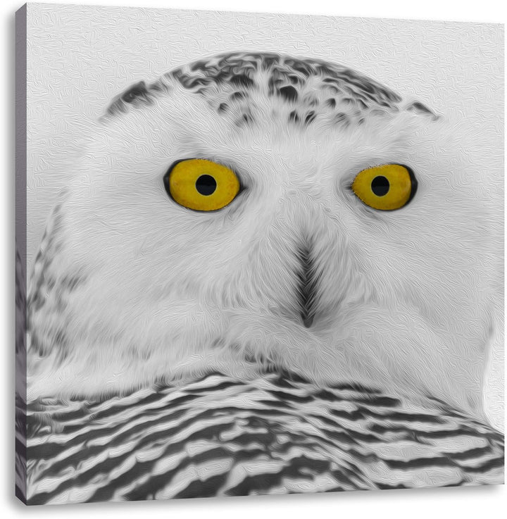Pixxprint grosse Schnee Eule schwarz/weiss, Format: 70x70 auf Leinwand, 70x70