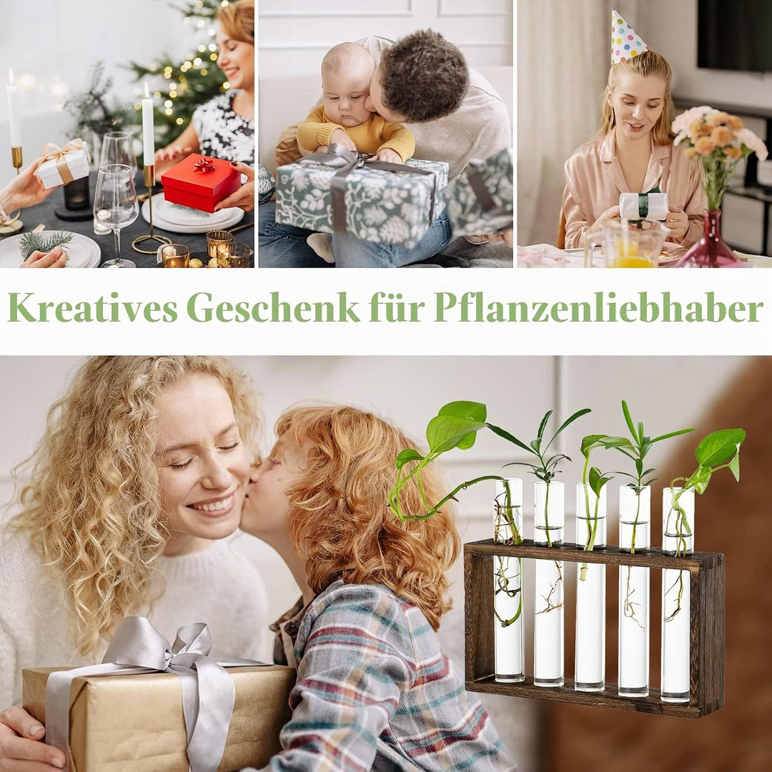 Glasseam Modern Blumenvase Kleine Vasen Deko Set Vintage Glas Reagenzgläser Für Blumen Mit Ständer H