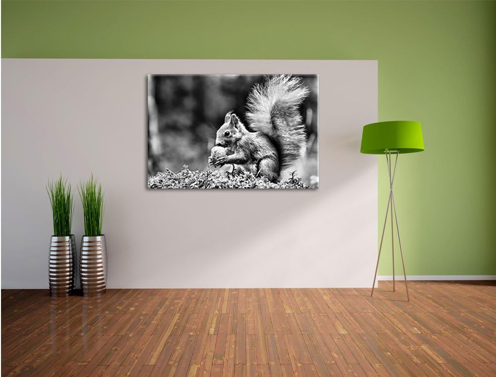 Pixxprint Eichhörnchen mit Nuss / 100x70cm Leinwandbild bespannt auf Holzrahmen/Wandbild Kunstdruck