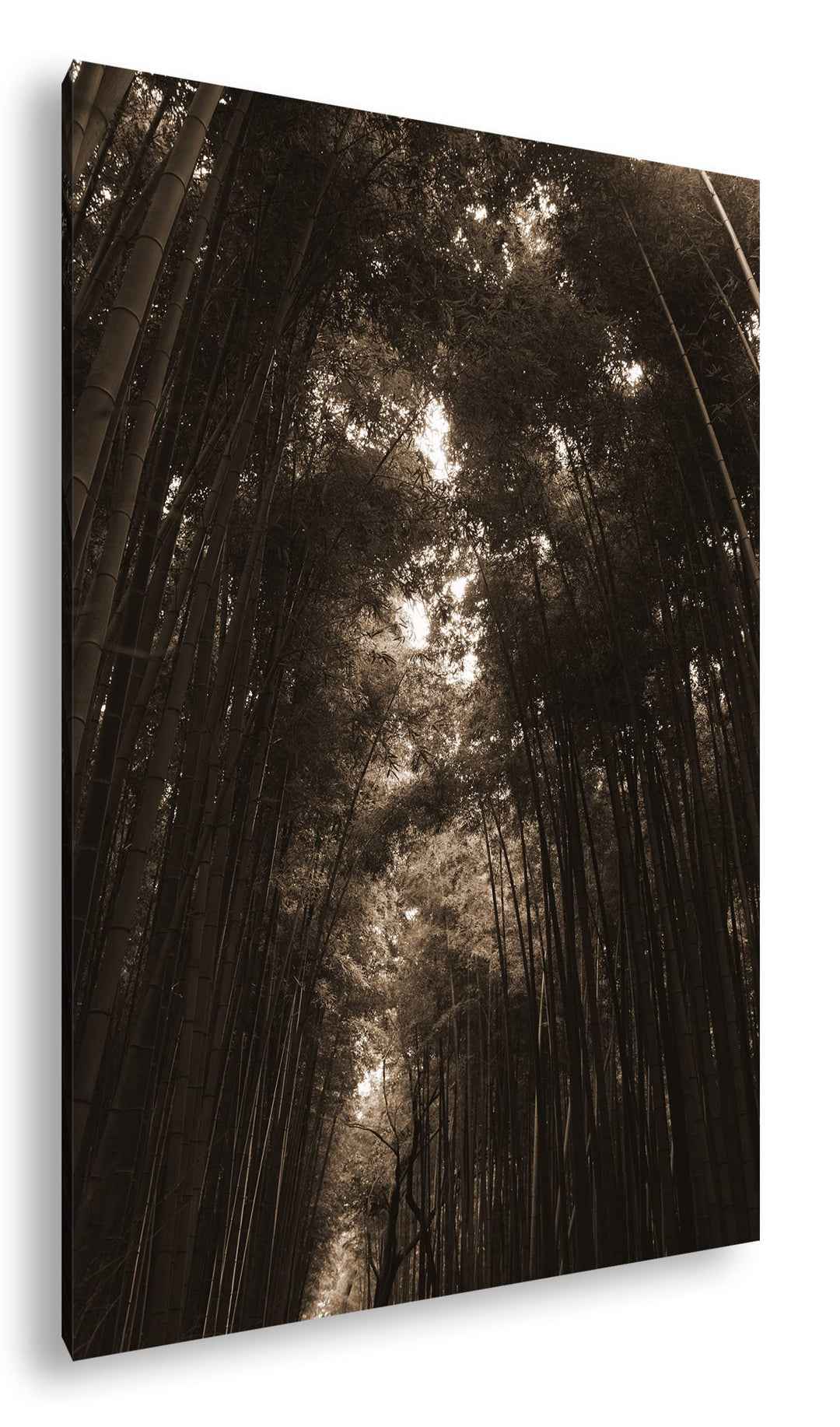deyoli ein Wald voller Bambus Effekt: Sepia, Format: 80x60 als Leinwandbild, Motiv fertig gerahmt au
