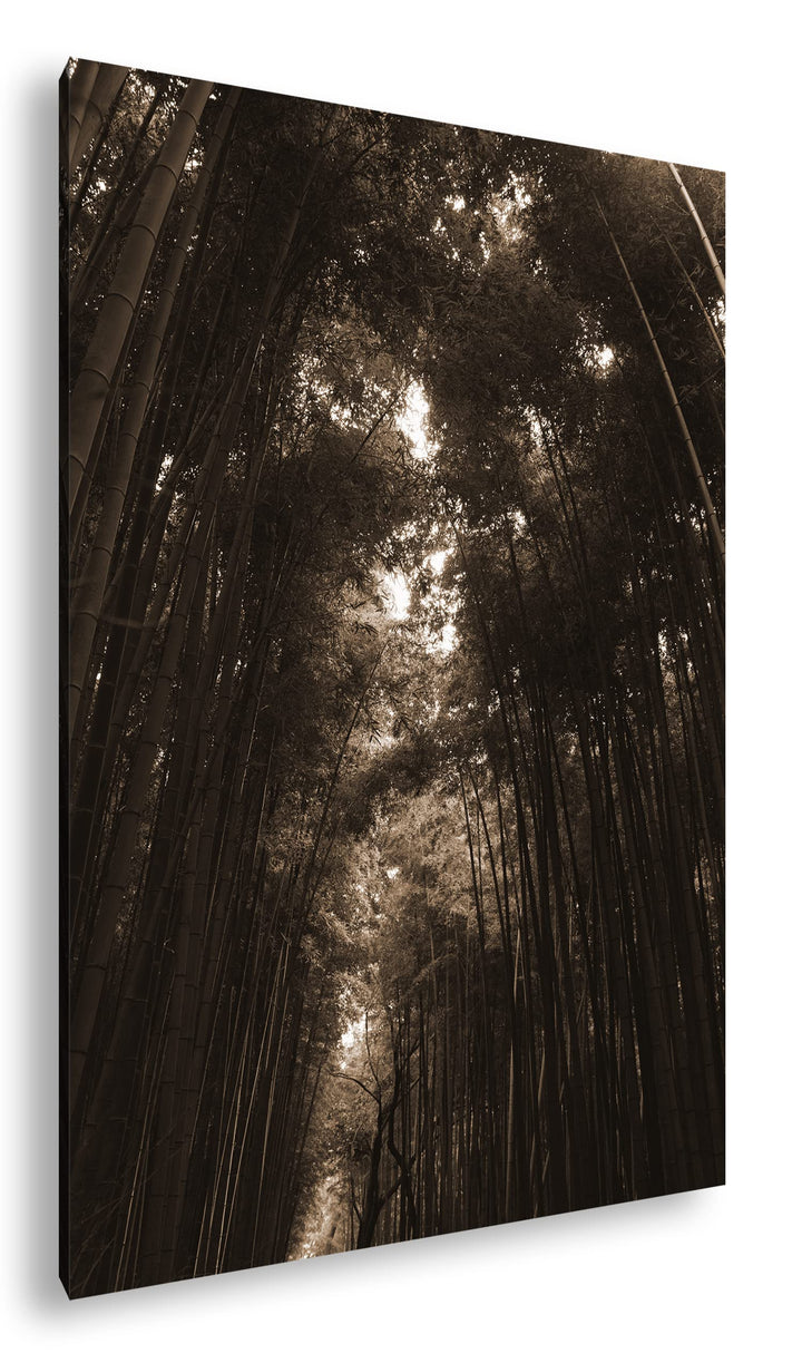 deyoli ein Wald voller Bambus Effekt: Sepia, Format: 80x60 als Leinwandbild, Motiv fertig gerahmt au
