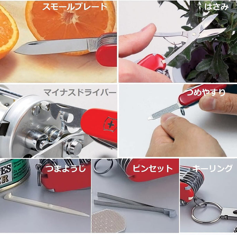 Victorinox Schweizer Taschenmesser, Klein, Classic SD, Multitool, Swiss Army Knife, Geschenk, 7 Funk