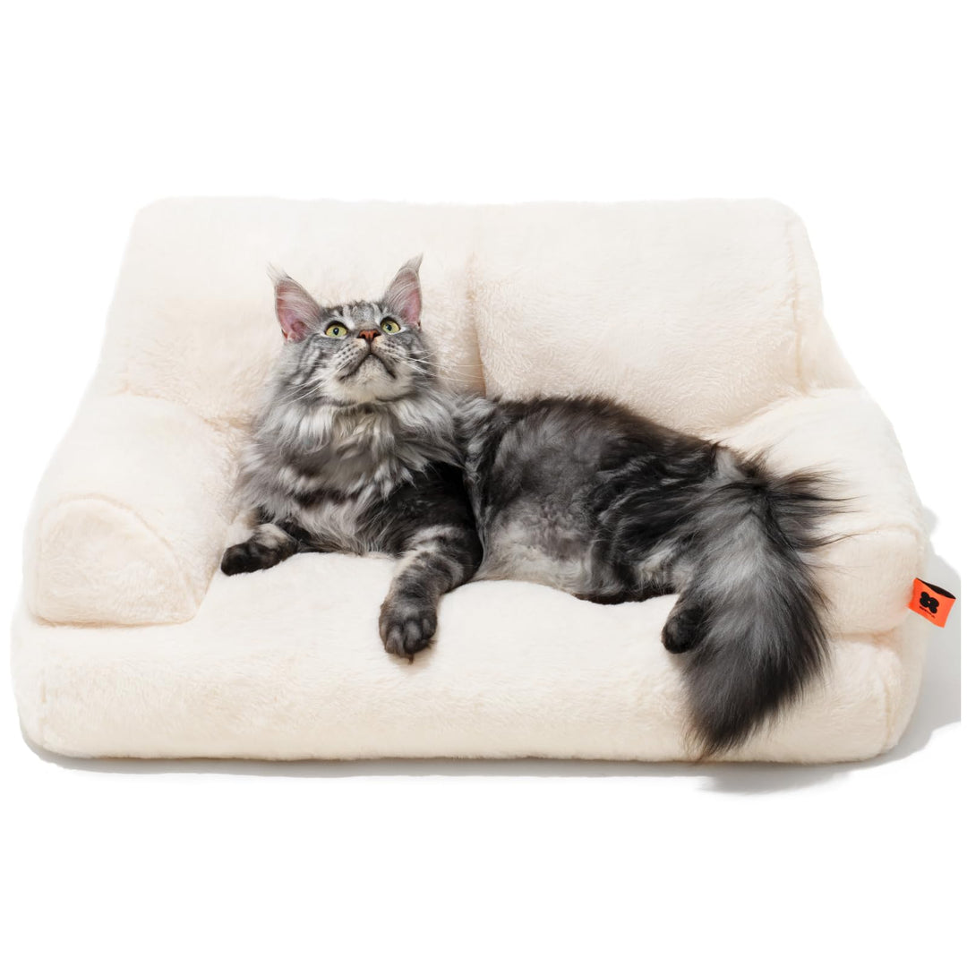 MEWOOFUN Katzenbett Grosse für Katzen, 66x48cm Flauschig und weich Katzensofa Katzencouchbett für mi