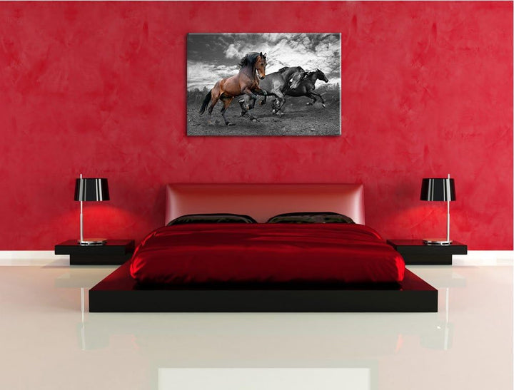 Schöne Wildpferde schwarz/weiss Format: 100x70 auf Leinwand, XXL riesige Bilder fertig gerahmt mit K