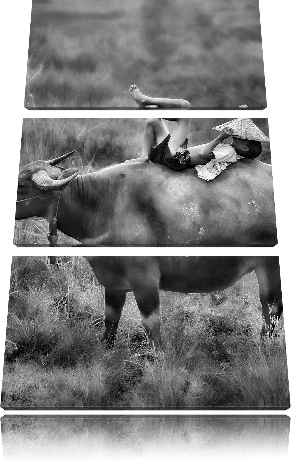 Pixxprint Monocrome, Wasserbüffel trägt Kind 3-Teiler Leinwandbild 120x80 Bild auf Leinwand