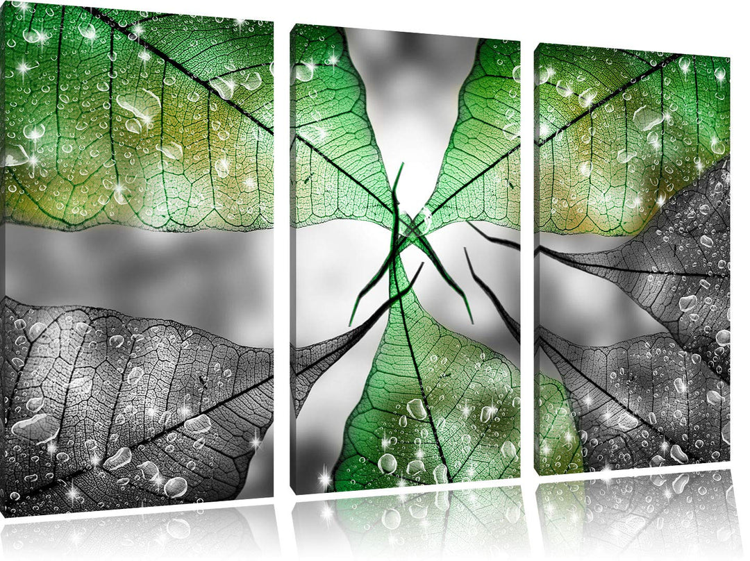 grüne Blätter mit Wassertropfen schwarz/weiss 3-Teiler Leinwandbild 120x80 Bild auf Leinwand, XXL ri