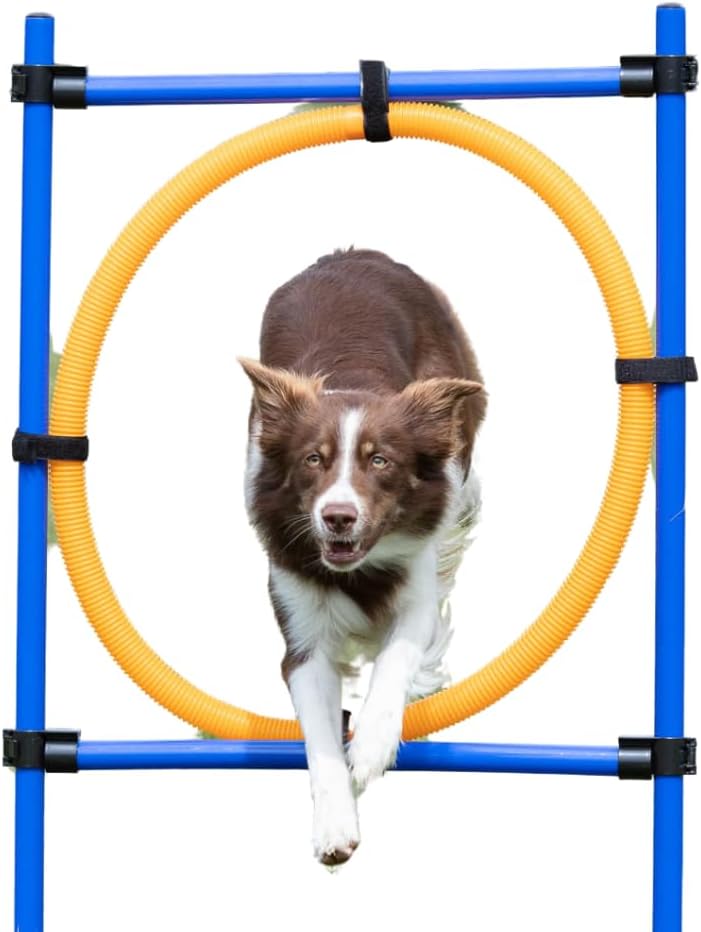 Trixie Agility Ring, 115×ø 3 cm, ø 65 cm