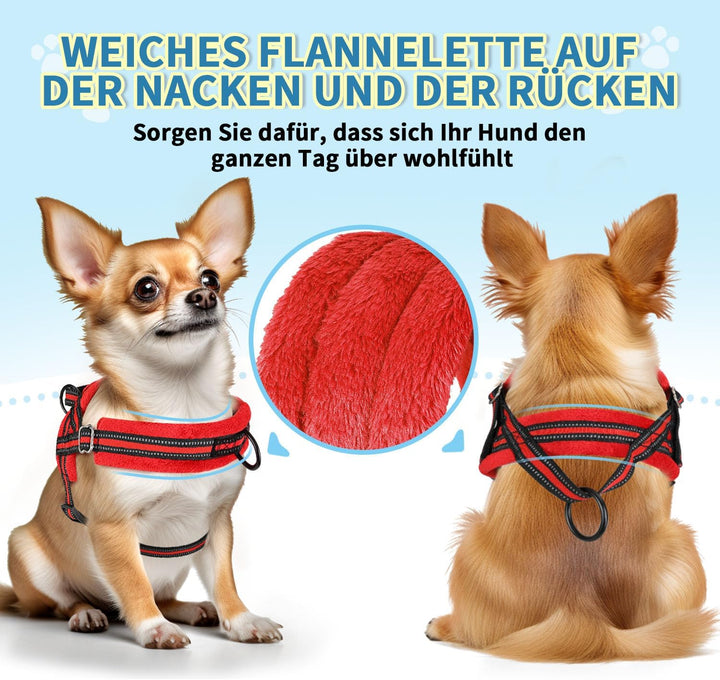 Hundegeschirr mit Leine für mittelgrosse Kleine Hunde, Weich gepolsterter No-Pull Brustgeschirr mit