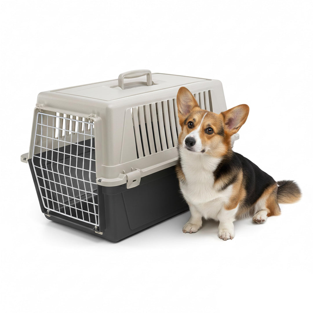 Ferplast Transportbox für Haustiere Hundebox für kleine Hunde und Katzen Atlas 30 EL, Transportbox f