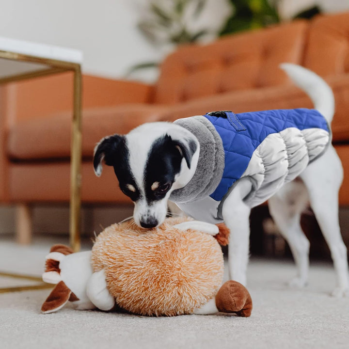 CITÉTOILE Hundemantel Winter,Hundejacke mit Geschirr, Wasserdicht Hundemantel mit Fleece Gefütterte