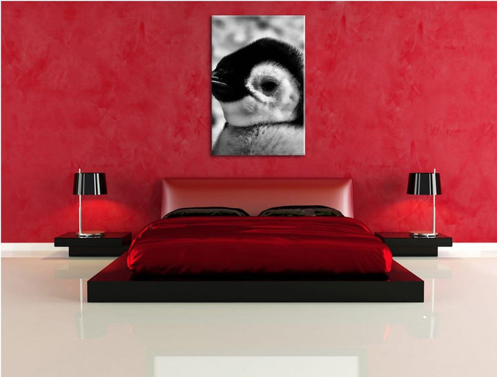 Pixxprint DREI Kaiserpinguin-Küken als Leinwandbild | Grösse: 100x70 cm | Wandbild | Kunstdruck | fe