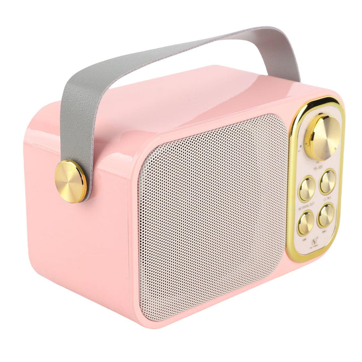Fdit Outdoor-Gesangsmaschine, Karaoke-Maschine Mini 6 Arten von Spracheffekten 5 Stunden Sofortiges