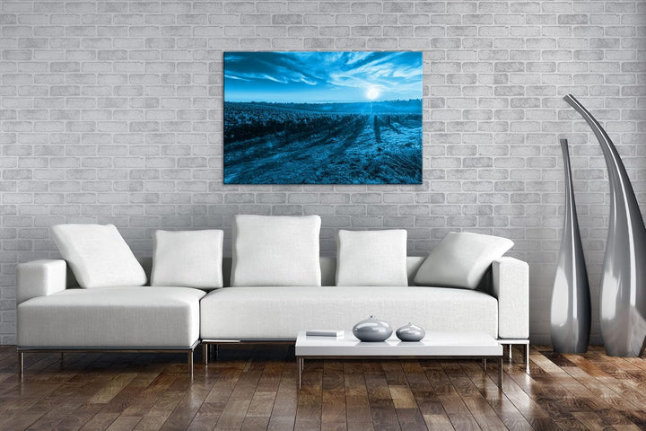Traubenfeld in der Toskana Format 100x70 Effekt: Monocrome Blau als Leinwandbild, Motiv fertig gerah