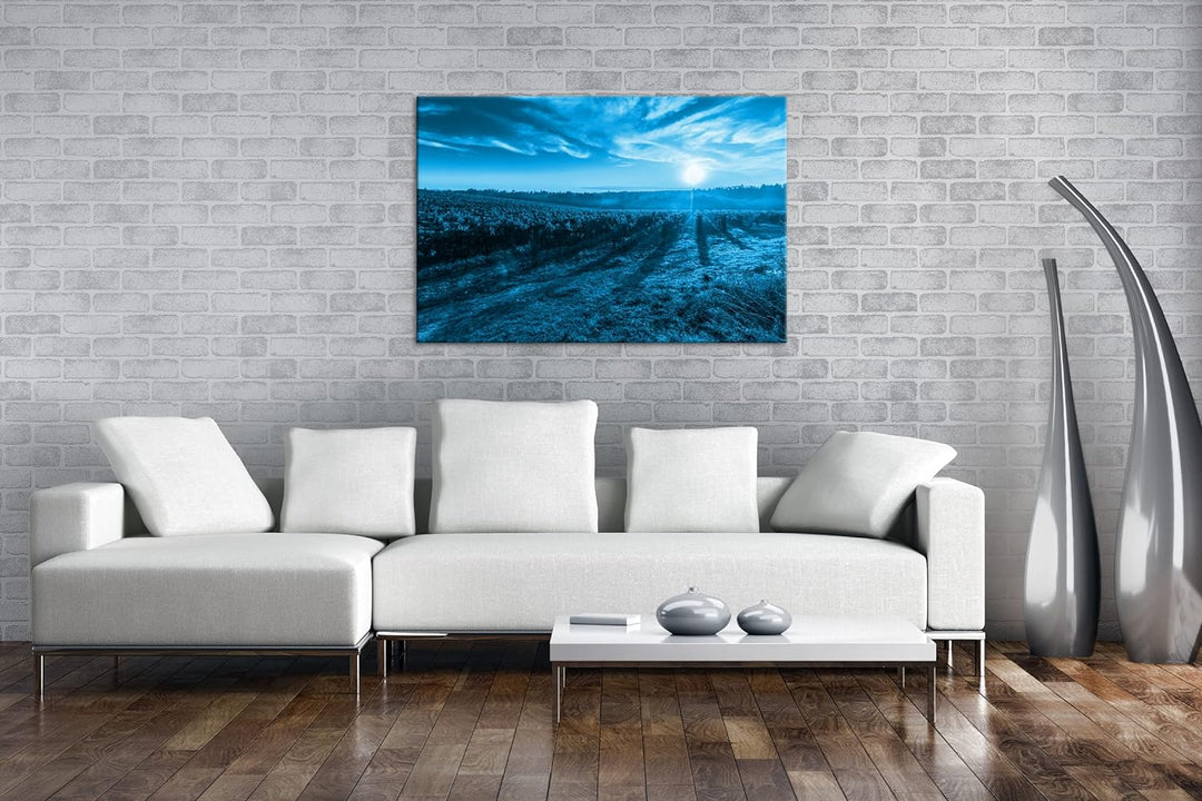 Traubenfeld in der Toskana Format 100x70 Effekt: Monocrome Blau als Leinwandbild, Motiv fertig gerah