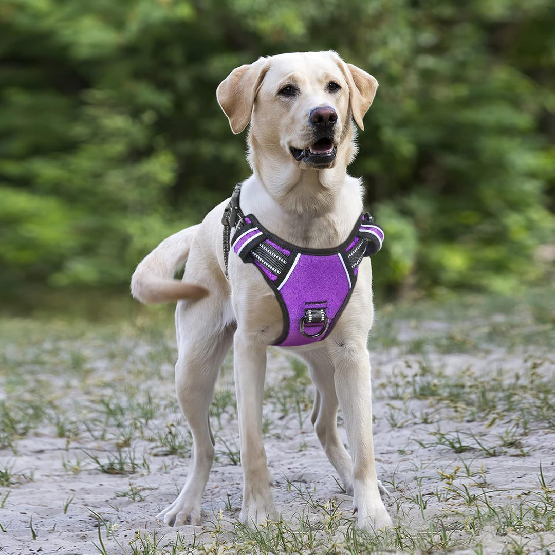 HEELE Hundegeschirr ohne Zug, Brustgeschirr für grosse Hund, einstellbares reflektierendes Hunde Ges