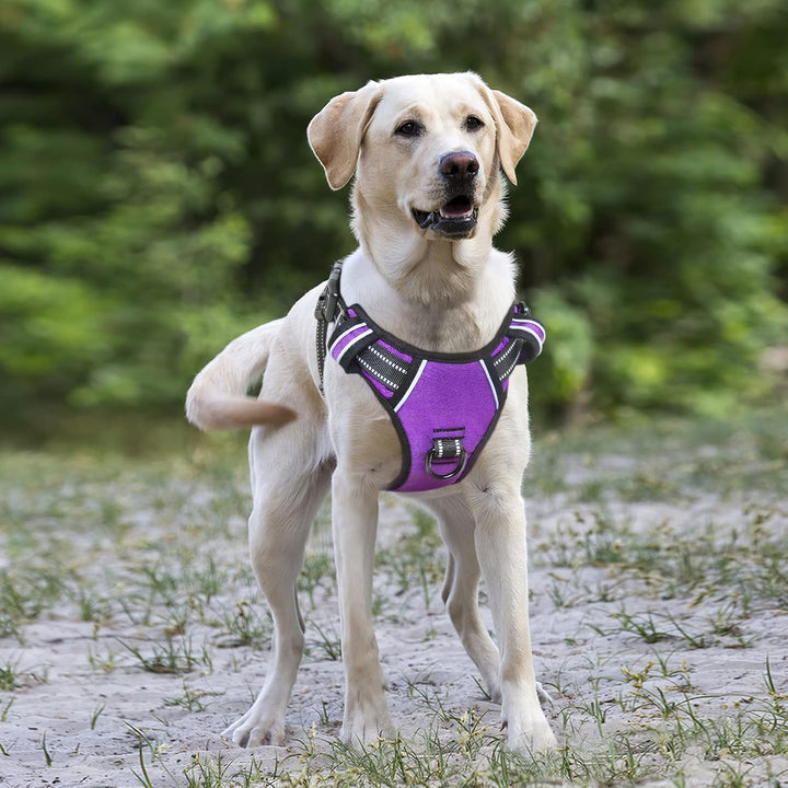 HEELE Hundegeschirr ohne Zug, Brustgeschirr für grosse Hund, einstellbares reflektierendes Hunde Ges