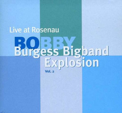 Live At Rosenau Stuttgart Vol. 2, Audio-CD