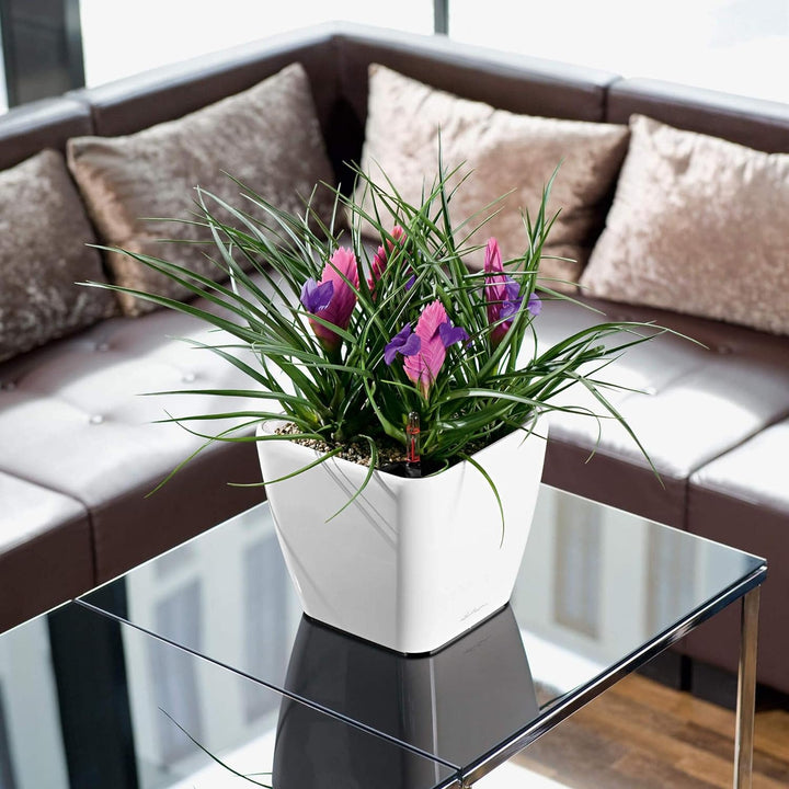 LECHUZA QUADRO Premium LS 21 scarlet rot hochglanz 16127 21x21x20 cm Scarlet Rot Hochglanz, 21x21x20