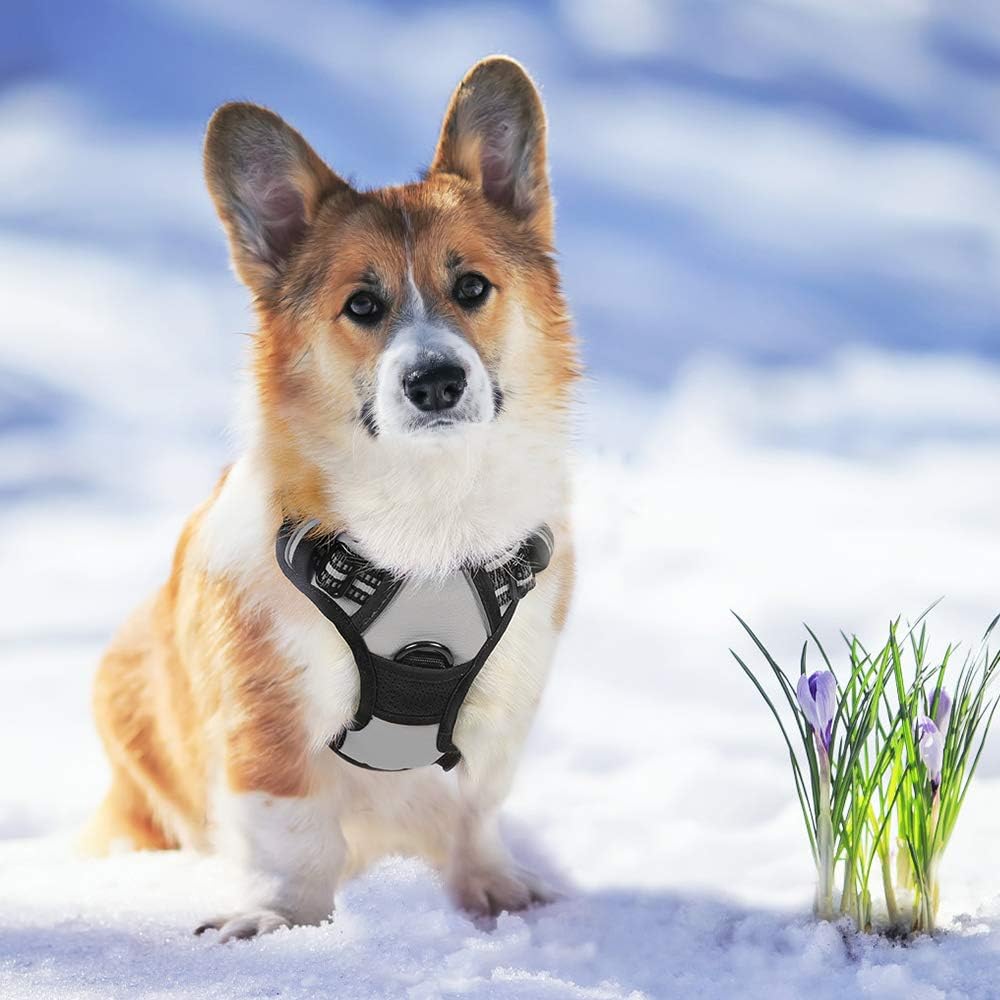 rabbitgoo Hundegeschirr Mittelgrosse Hunde, Anti Zug Geschirr mit Kontrolle, No Pull Verstellbar Hun