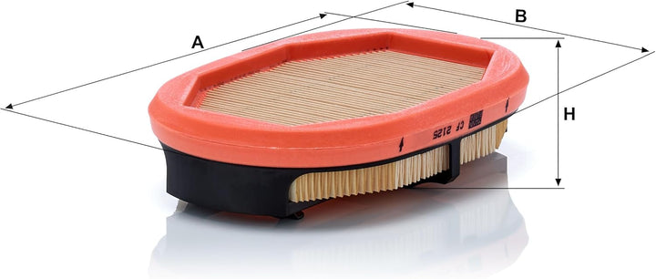 MANN-FILTER CF 2125 Luftfilter – Sekundärfilter Element mit passendem Primärelement C 23 220 – Für N