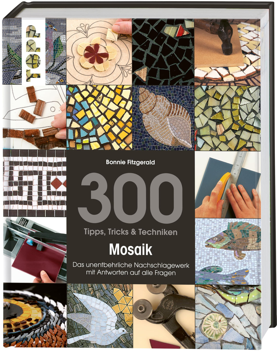 300 Tipps, Tricks & Techniken Mosaik: Das unentbehrliche Nachschlagewerk mit Antworten auf alle Frag