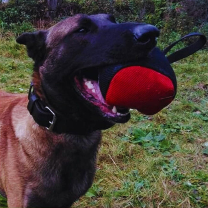 Dingo Gear Trainings-Spielzeug Nylcott French Material Training Spiel Apport IGP K9 Obedience Apport