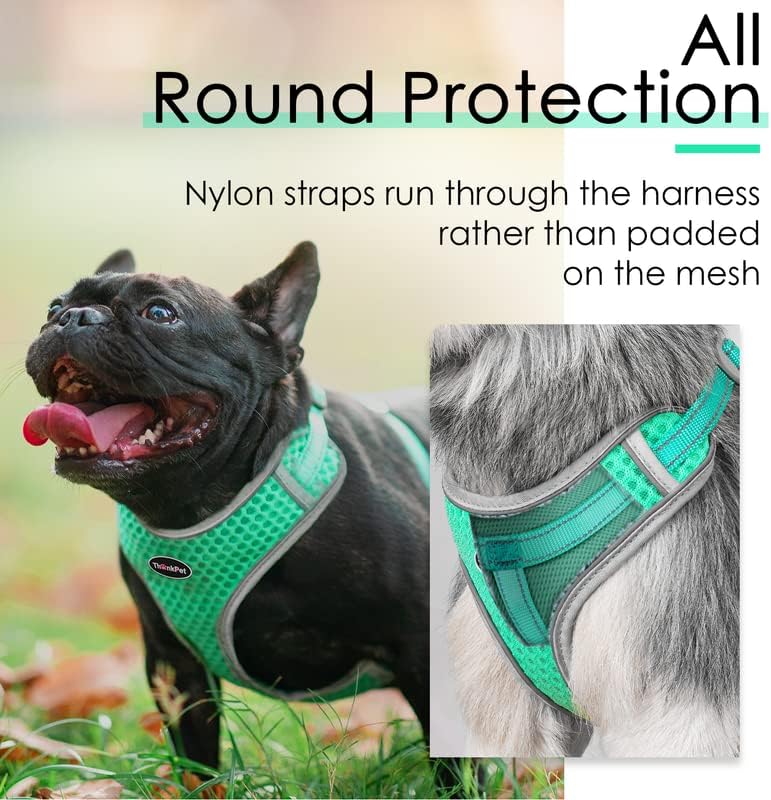 ThinkPet No-Pull Hundegeschirr Leine Set, Atmungsaktiv Brustgeschirr für Kleine Mittlere Grosse Hund