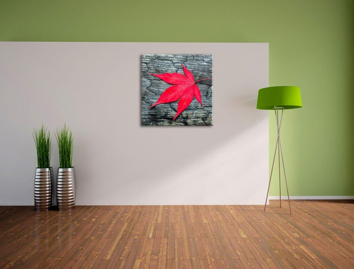 Pixxprint Rotes Blatt auf Holz Laub Natur, Format: 70x70 auf Leinwand, 70x70