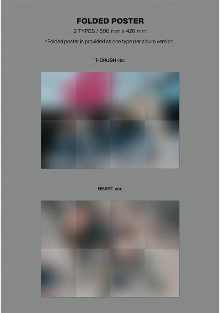 dreamus Stray Kids [Maxident] Standard-Edition Album T-Crush ver