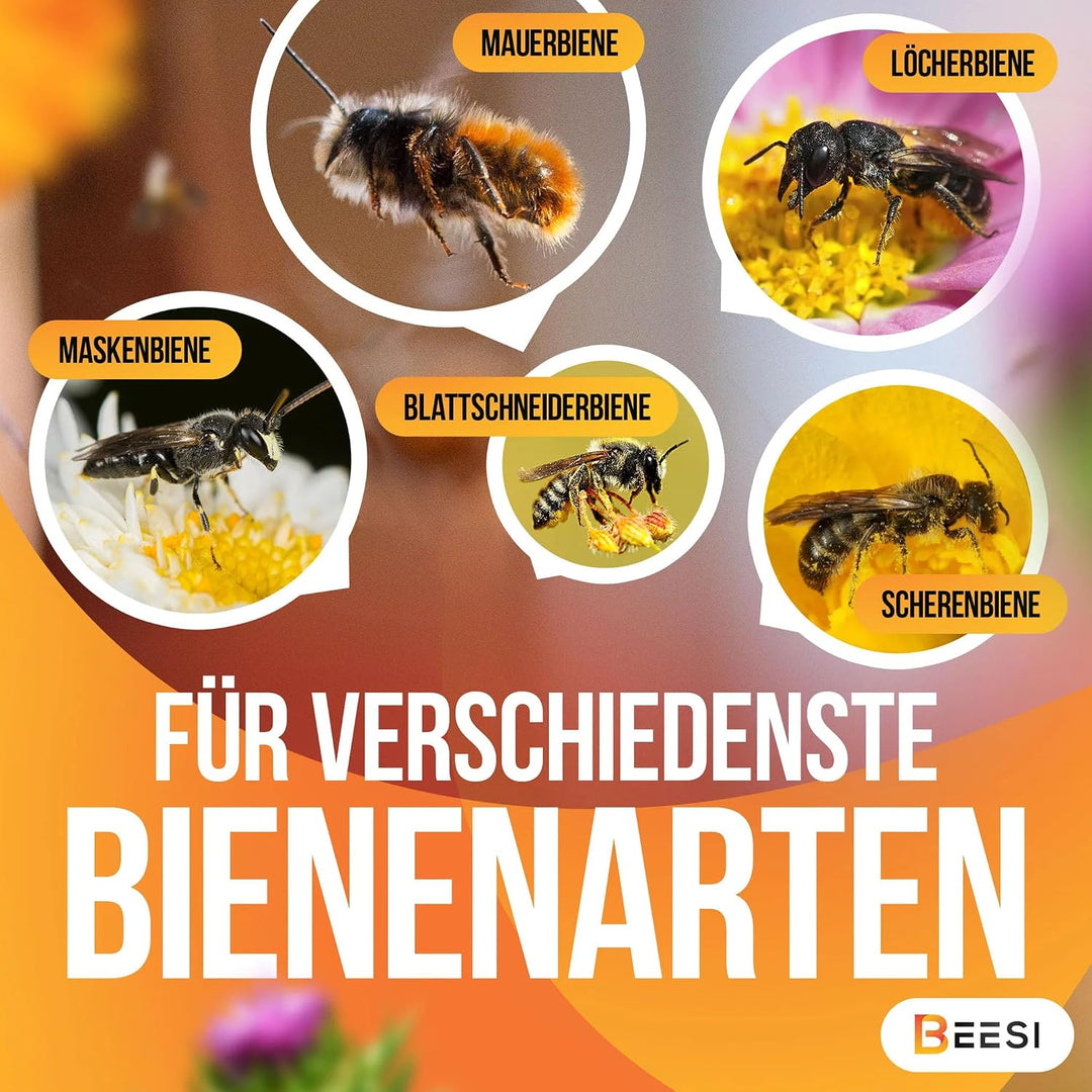 Beesi Bambusröhrchen für Insektenhotel 100 Stück 10cm Länge I Insektenhaus für Wildbienen I Wildbien
