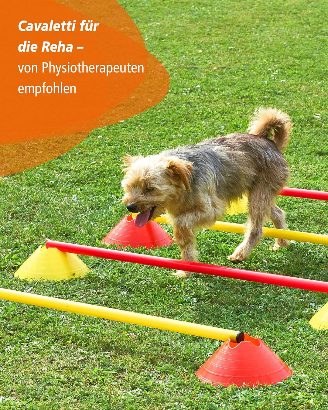 Cavaletti Mini-Hürden 5er Set – Mulden Gelb & Stangen Orange – sichere Trainingshürden für Hunde – A
