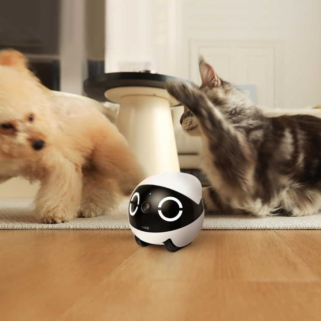 Enabot ROLA Mini Funny Pet Companion Robot