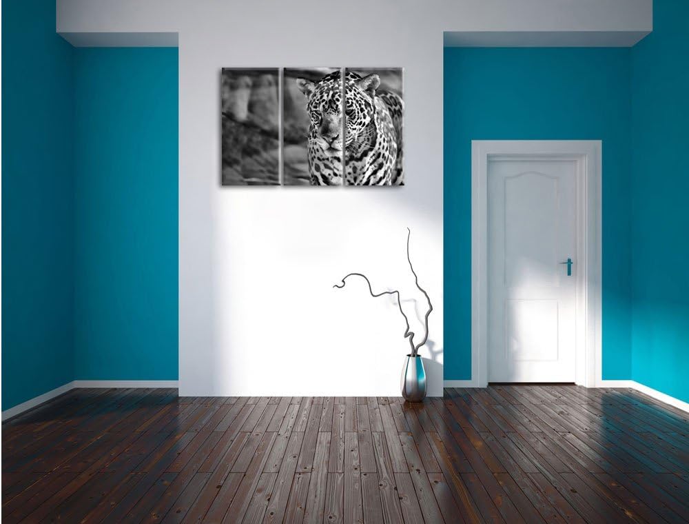 Pixxprint Leopard, Wüste, als Leinwandbild/Grösse: 3 Teilig (120x80) cm/Wandbild/Kunstdruck/fertig b