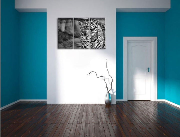 Pixxprint Leopard, Wüste, als Leinwandbild/Grösse: 3 Teilig (120x80) cm/Wandbild/Kunstdruck/fertig b