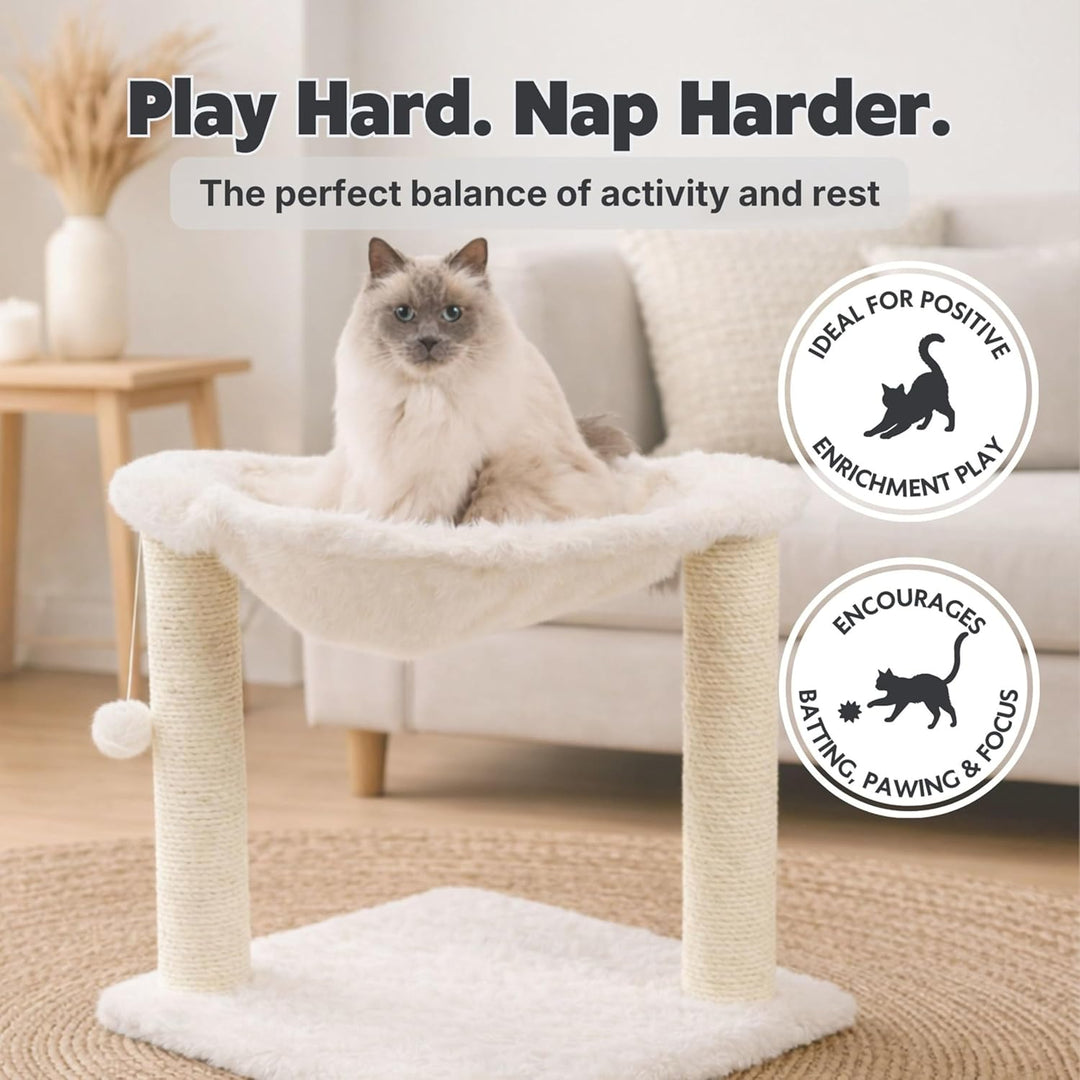 TRIXIE Kratzbaum Baza 50 cm in creme – kleiner & kompakter Katzenbaum mit gemütlicher Liegemulde, ko