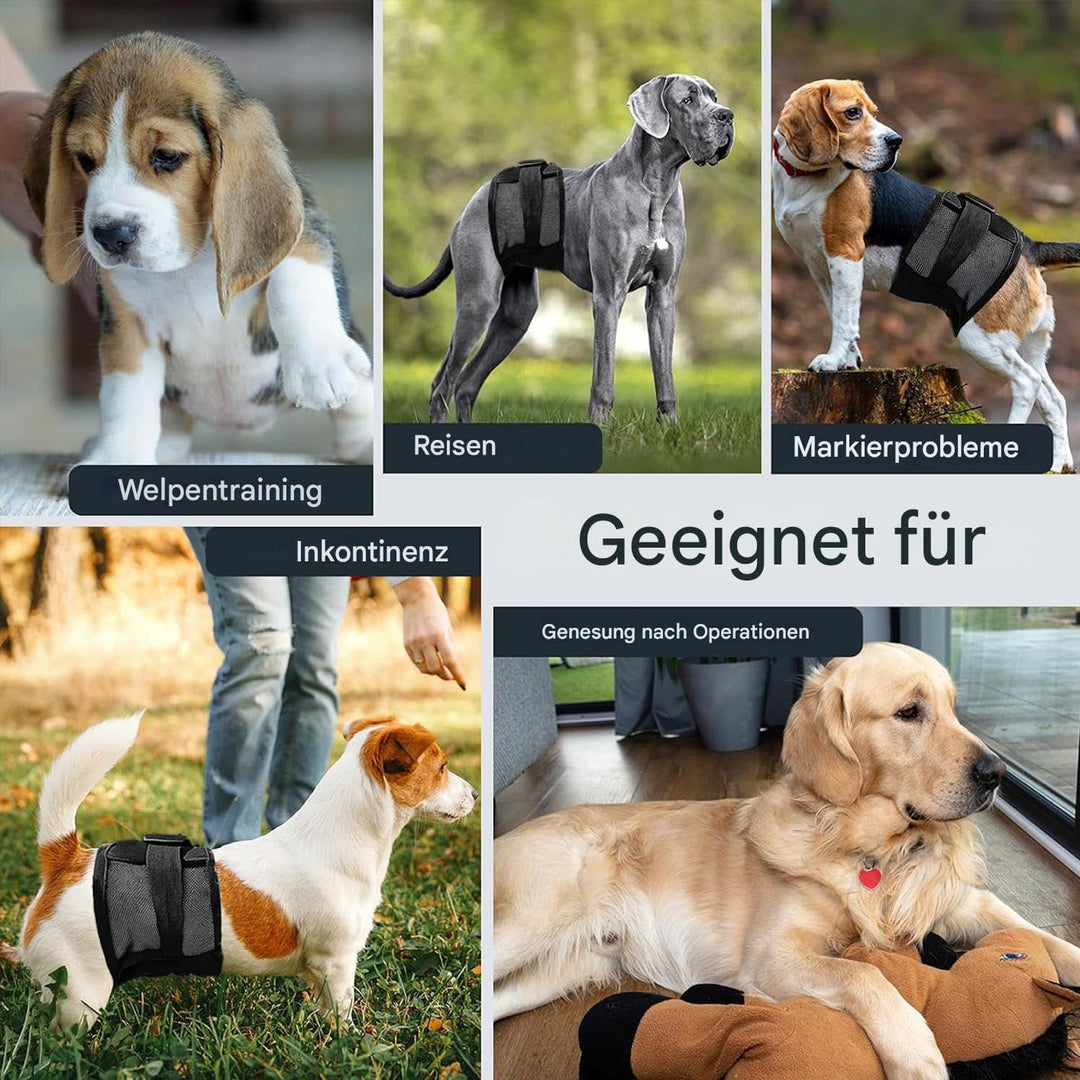 3PC Rüdenwindeln – Wiederverwendbare & waschbare Bauchbänder für Hunde, atmungsaktives Air-Mesh-Gewe