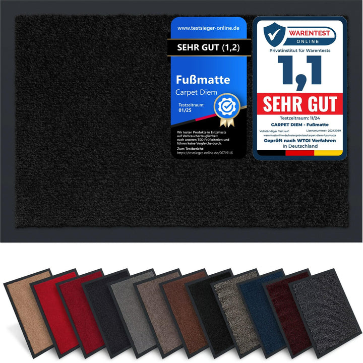 Carpet Diem Fussmatte, einfach sauber I Schmutzfangmatte Eingangsbereich - Fussmatte Innen & Aussen,