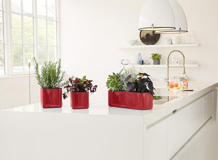 LECHUZA CUBE Glossy Triple scarlet rot highgloss 13672 40x14x13,5 cm Scarlet Rot Highgloss, 40x14x13