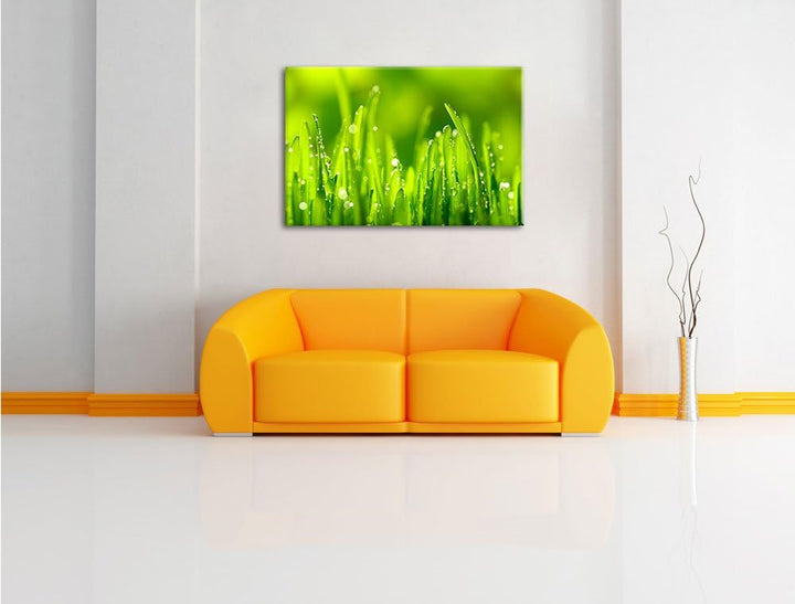 Grashalme mit Tauwasser, Format: 100x70 auf Leinwand, XXL riesige Bilder fertig gerahmt mit Keilrahm