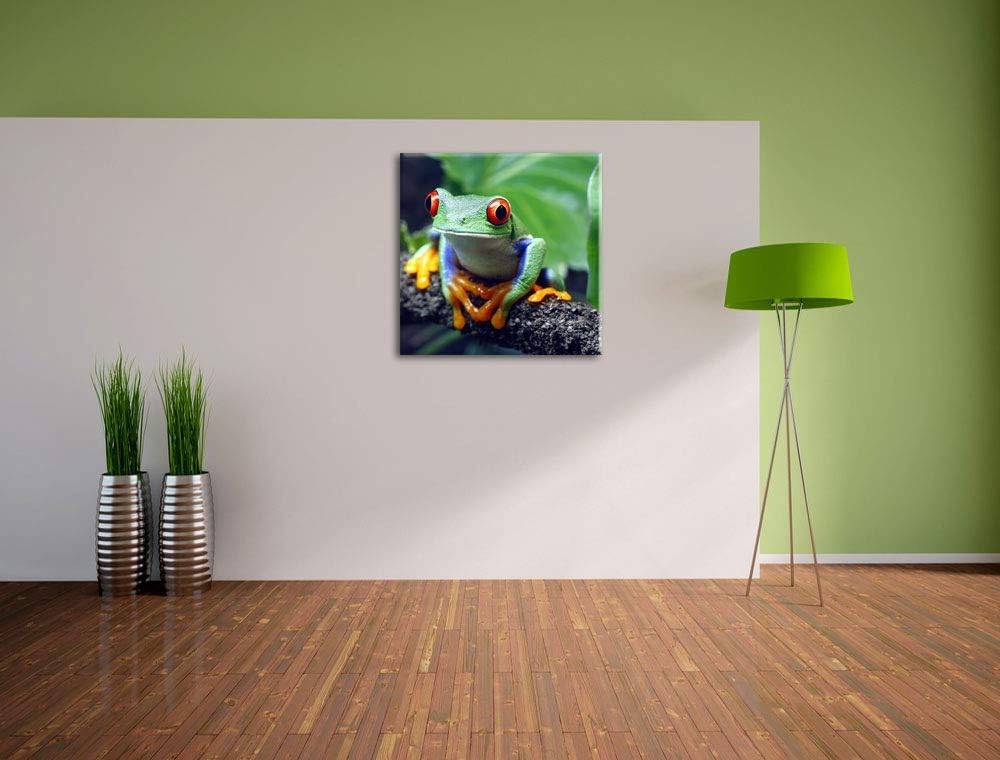 Rotaugenlaubfrosch auf Ast, Format: 70x70 auf Leinwand, XXL riesige Bilder fertig gerahmt mit Keilra