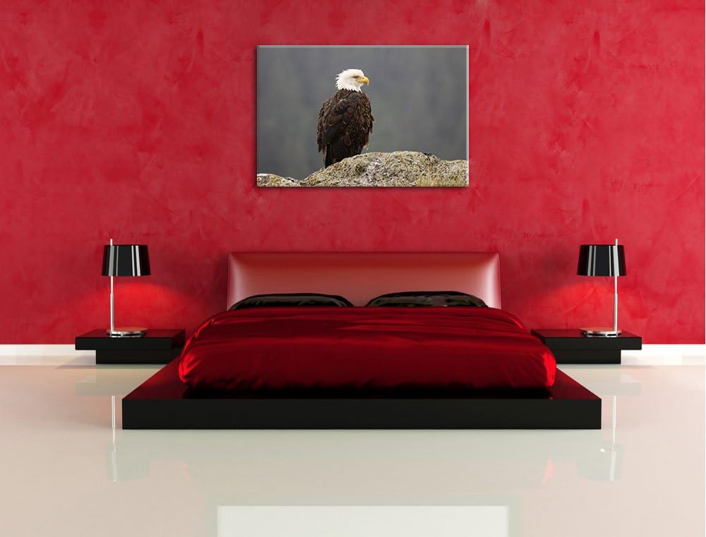 wachsamer Adler auf Fels Leinwand, XXL riesige Bilder fertig gerahmt mit Keilrahmen, Kunstdruck auf